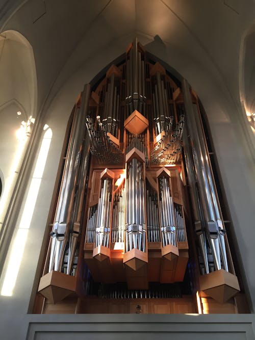 Free stock photo of church, hallgrimskirkja, organ