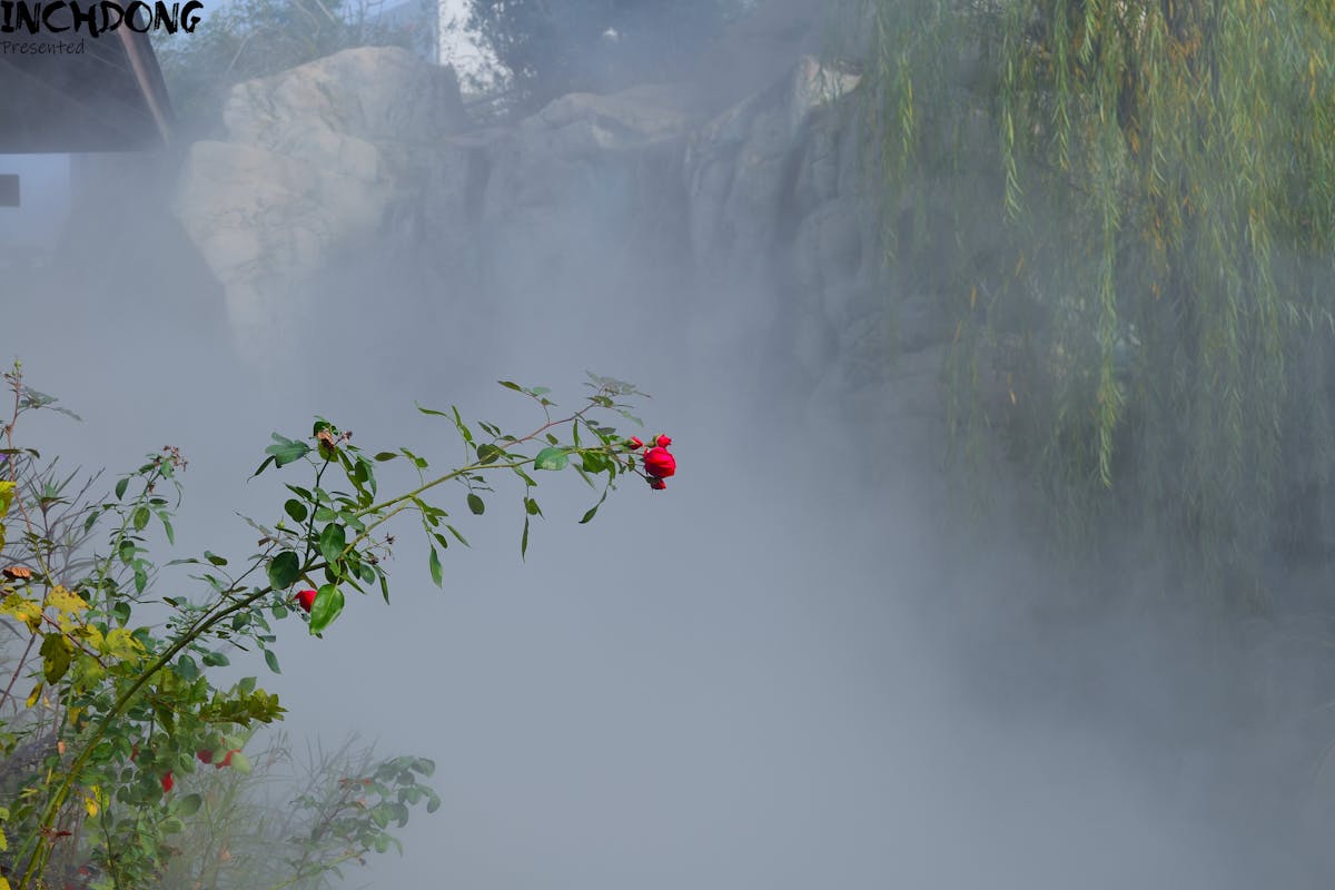 Smoke-filled sky over a city during an intense wildfire event