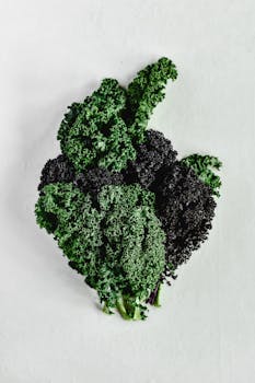 A vibrant close-up of fresh green and purple kale leaves against a white backdrop.