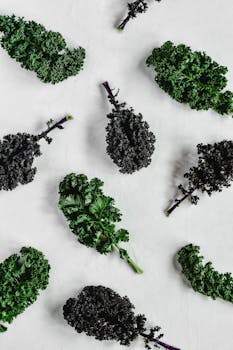 Organic kale leaves displayed on a flat white background for healthy eating concept.