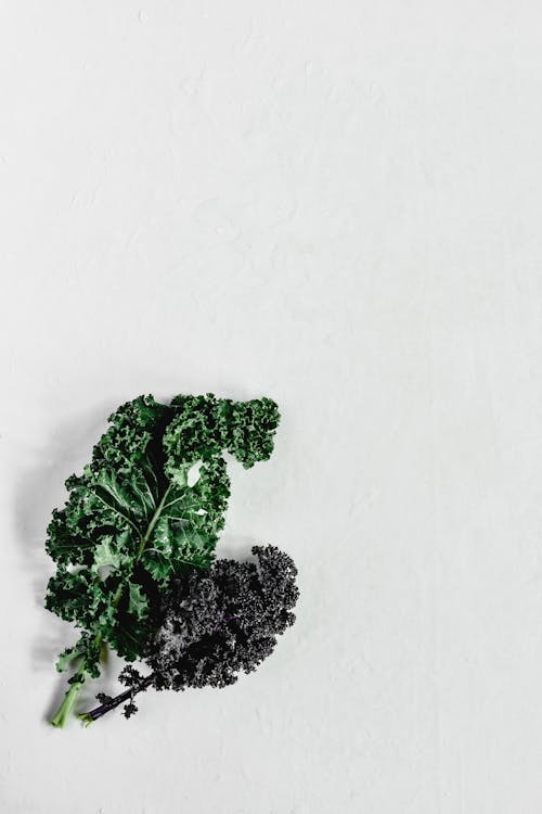 Free Green and Purple Kale in White Surface Stock Photo
