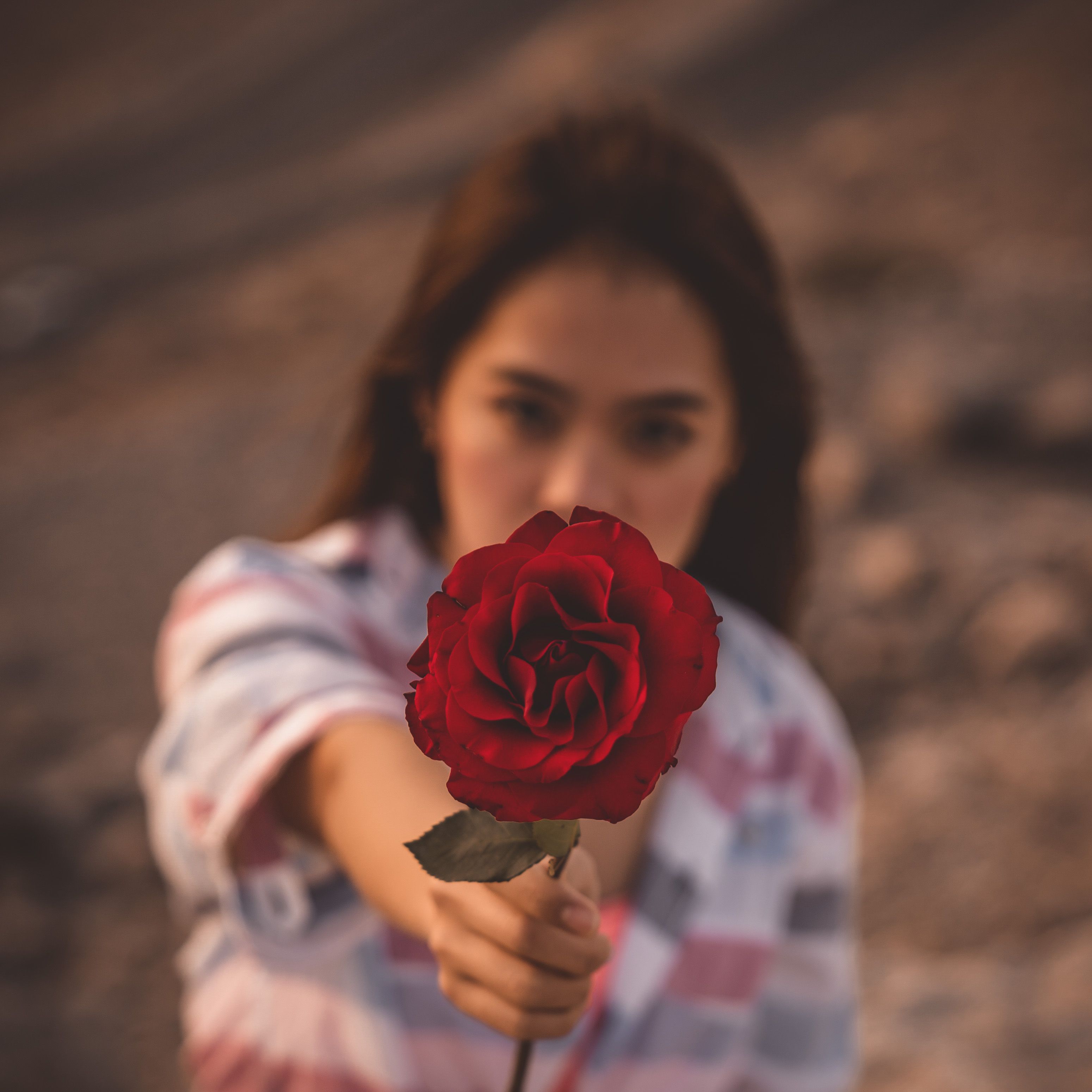 在柔和的焦点中，一位年轻女子献上一朵充满活力的红玫瑰，营造出平静而浪漫的氛围