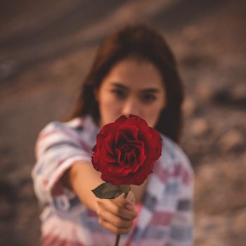 在柔和的焦点中，一位年轻女子献上一朵充满活力的红玫瑰，营造出平静而浪漫的氛围