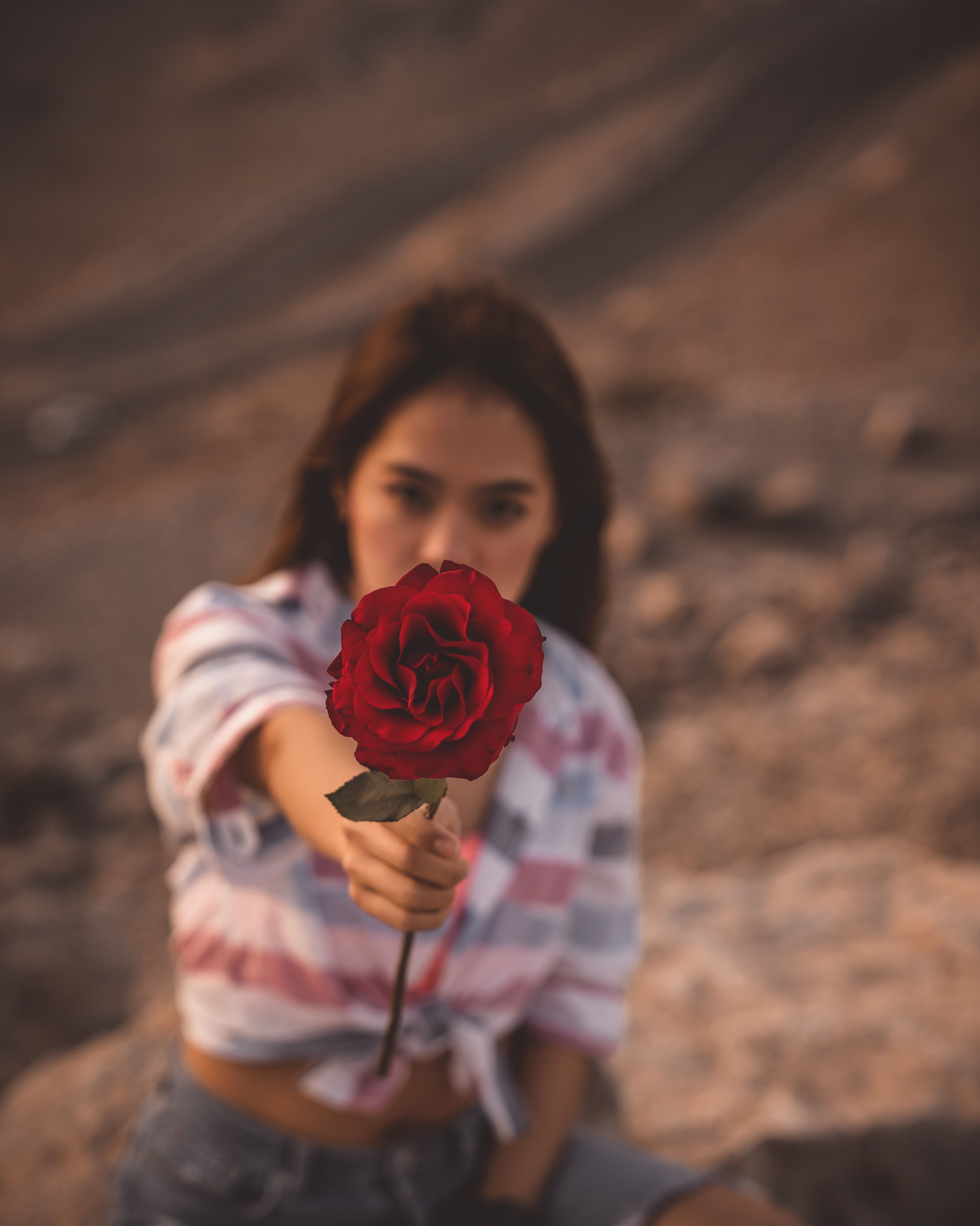 一位迷人的棕色头发亚洲女性，白天坐在岩石上，手举着一支红玫瑰