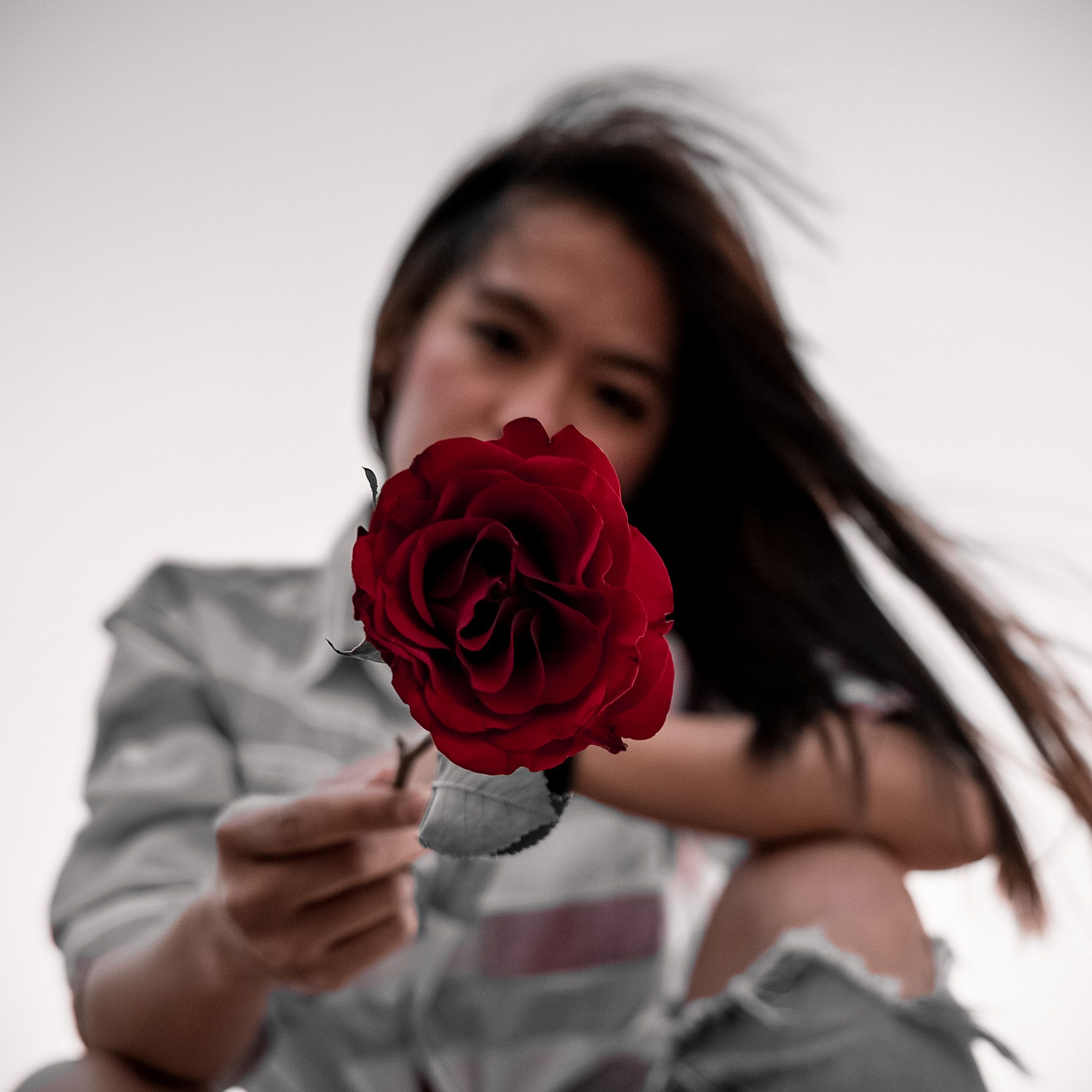 一个女人手拿一朵充满活力的红玫瑰，在户外营造出平静而浪漫的氛围