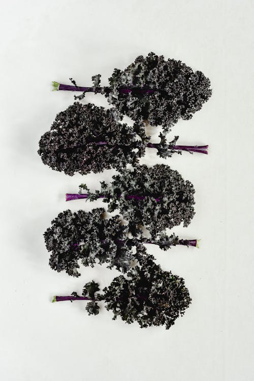 Close-Up Shot of Purple Kale on a White Surface