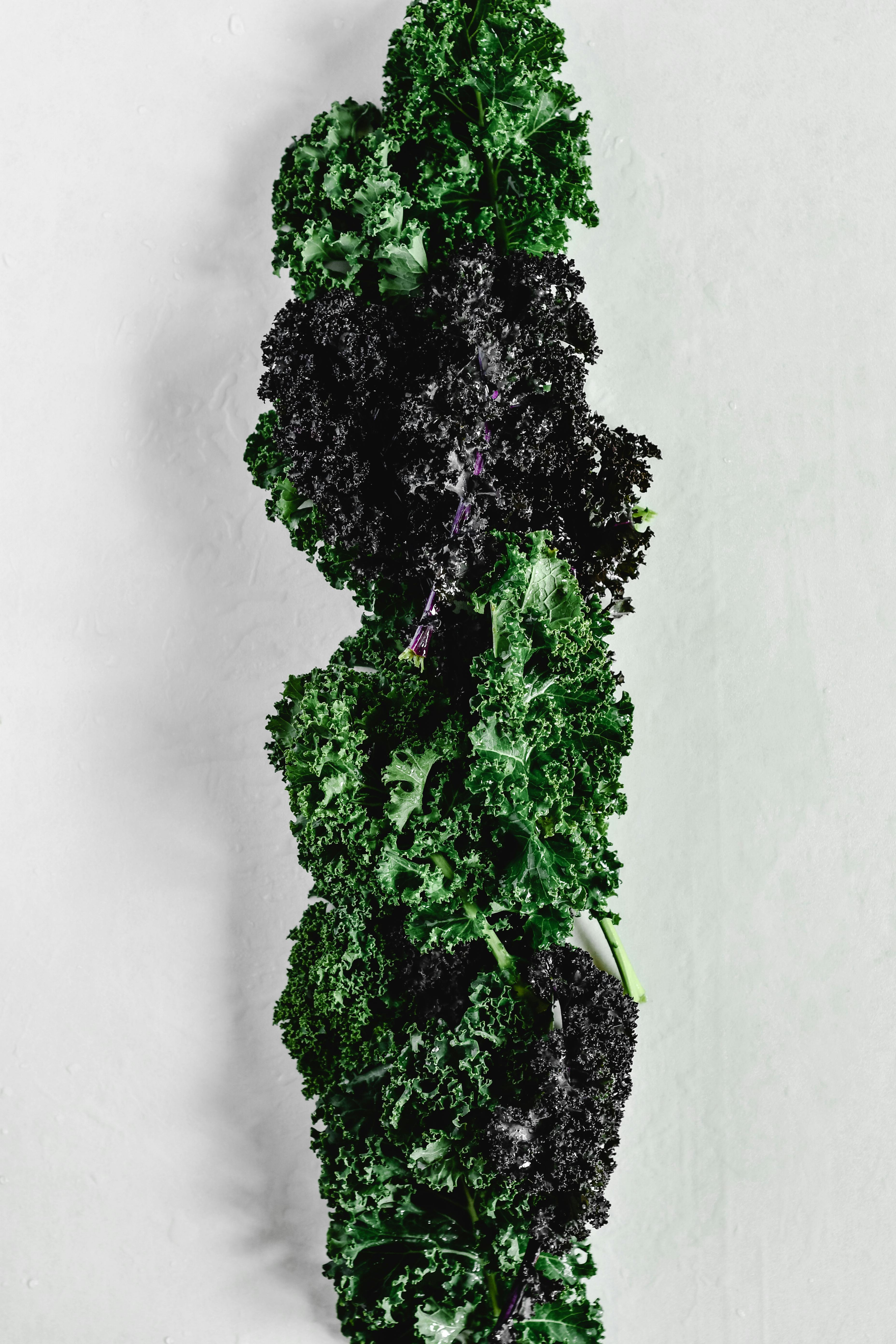 kale