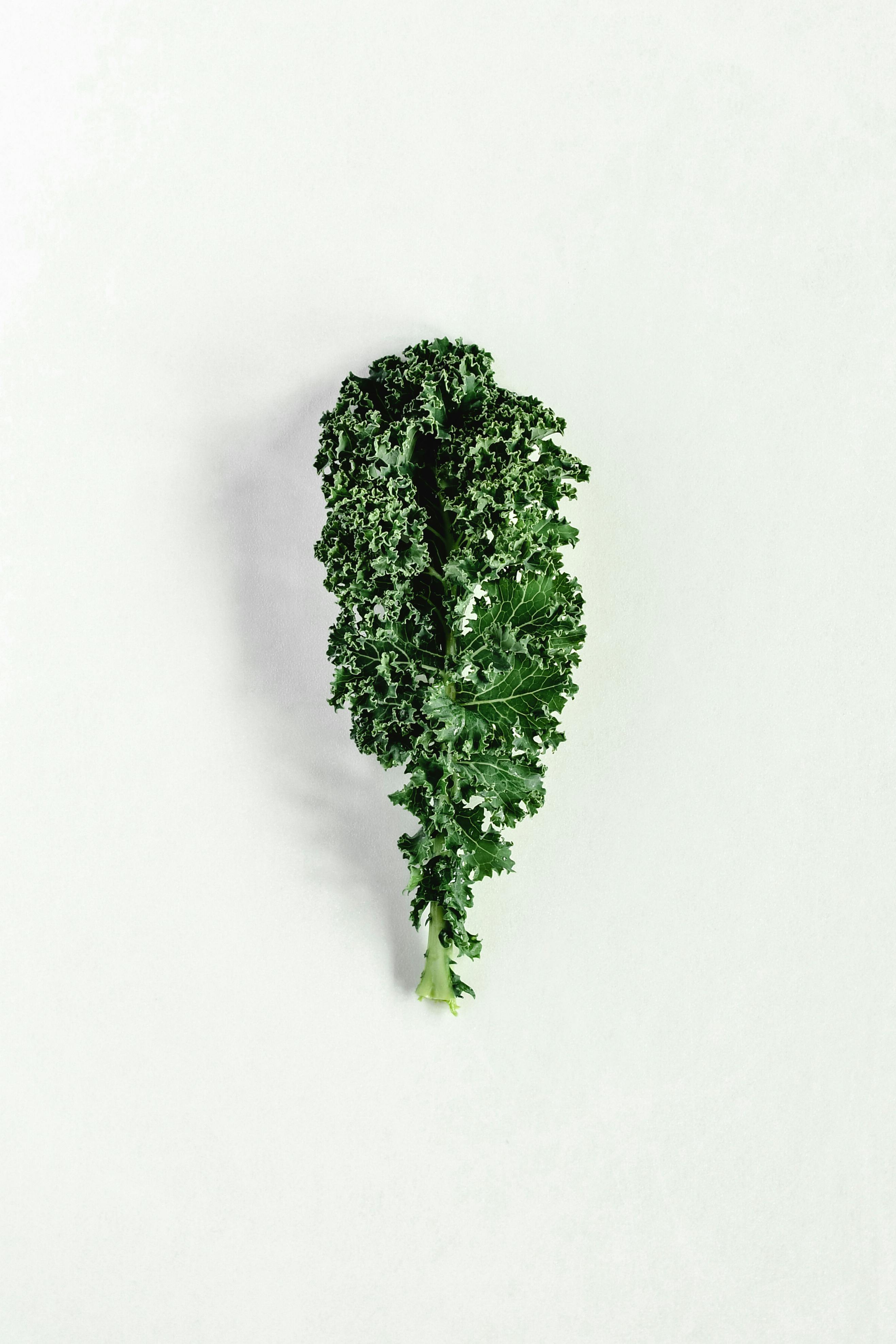What are the benefits of kale powder