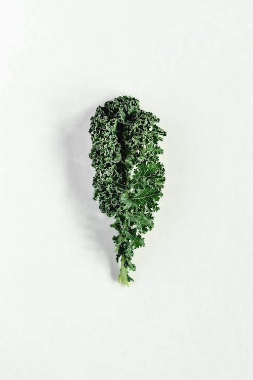 Close-Up Shot of a Kale on a White Surface