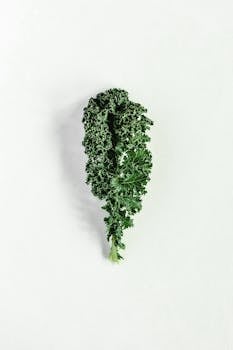kale image 4