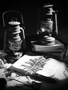 Black and white still life featuring vintage lanterns and an open book with a fern leaf.