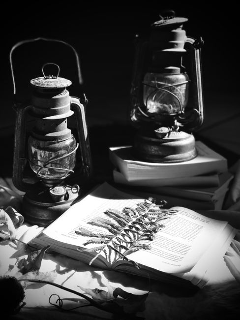 Black and white still life featuring vintage lanterns and an open book with a fern leaf.