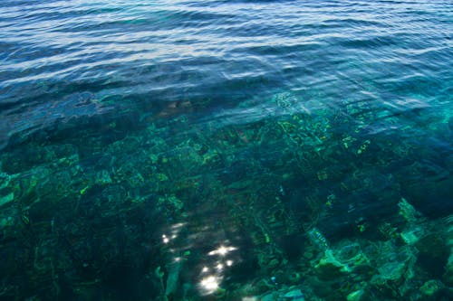 Free stock photo of background, clear sea water, clear water Stock Photo
