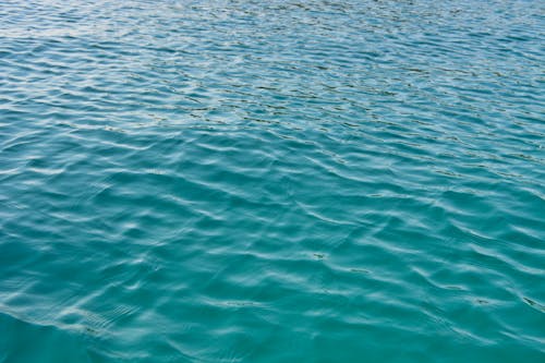 Free stock photo of clear sea water, clear water, desktop wallpaper Stock Photo
