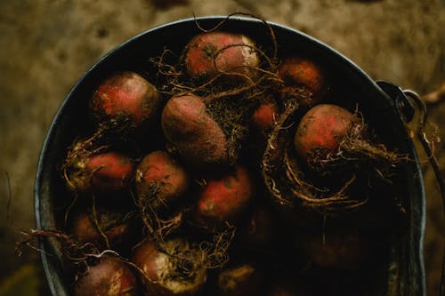 Free A Bucket of Beetroots Stock Photo