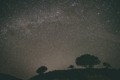 Free Scenic View of Silhouette of Trees under a Starry Night Stock Photo