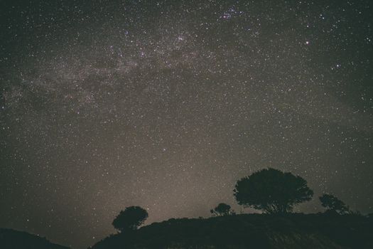 希腊星空下，树木的剪影与令人惊叹的景色交相辉映