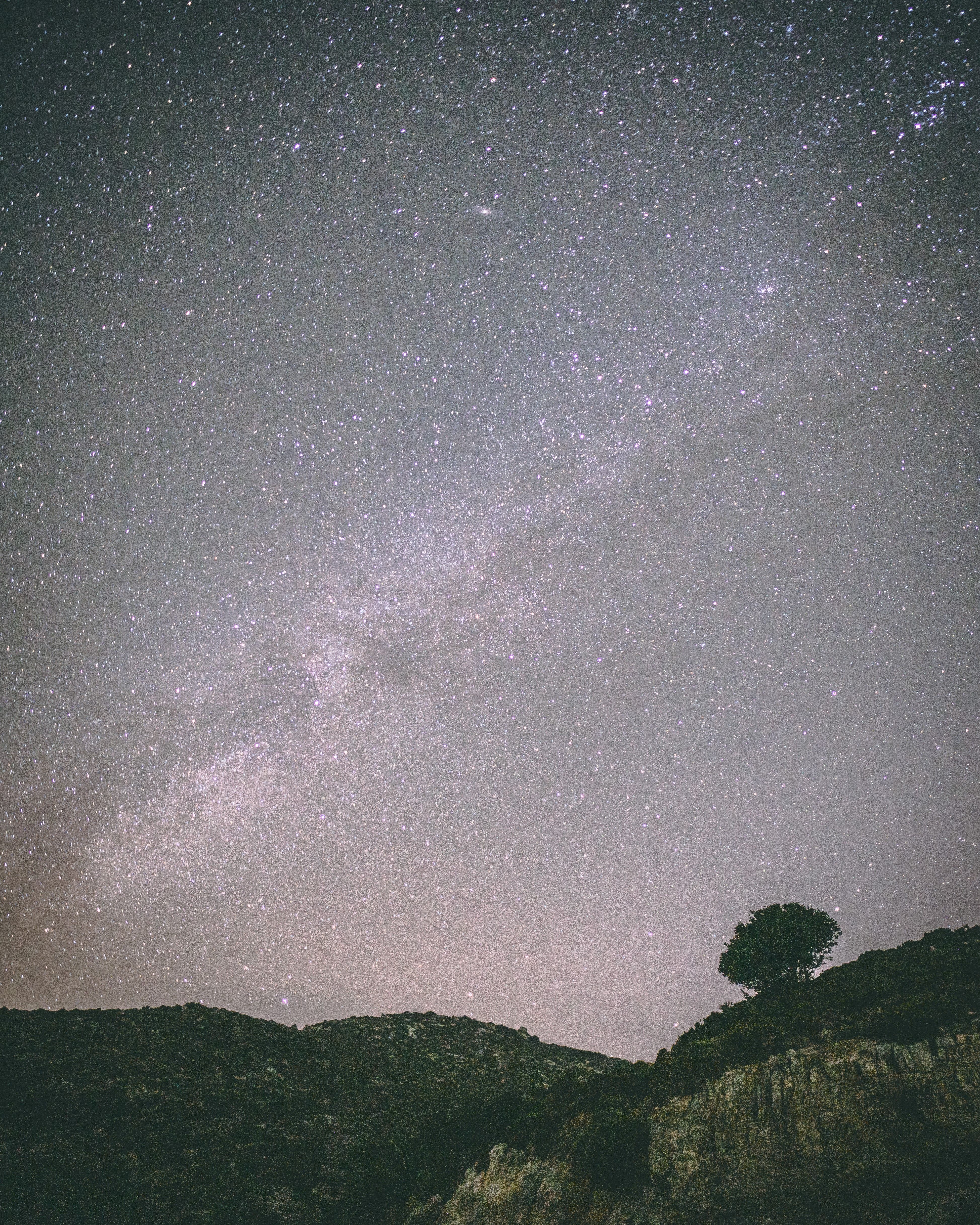 在希腊崎岖的地形上，星空映衬着孤独的树木轮廓