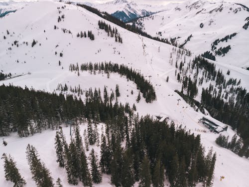 Imagine de stoc gratuită din acoperit de zăpadă, arbori, fotografie aeriană