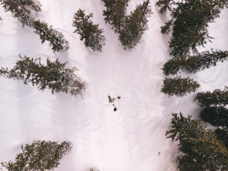 Aerial shot of skiers amidst snow-covered trees in Austrian winter landscape.