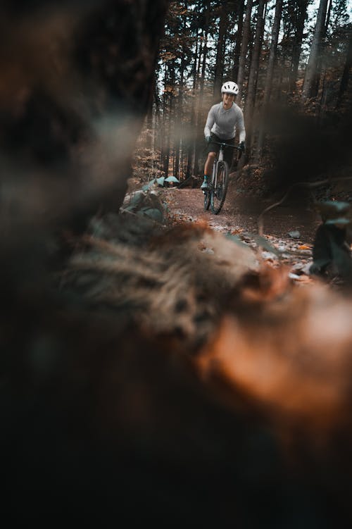 Foto profissional grátis de andar a cavalo, andar de bicicleta, árvores