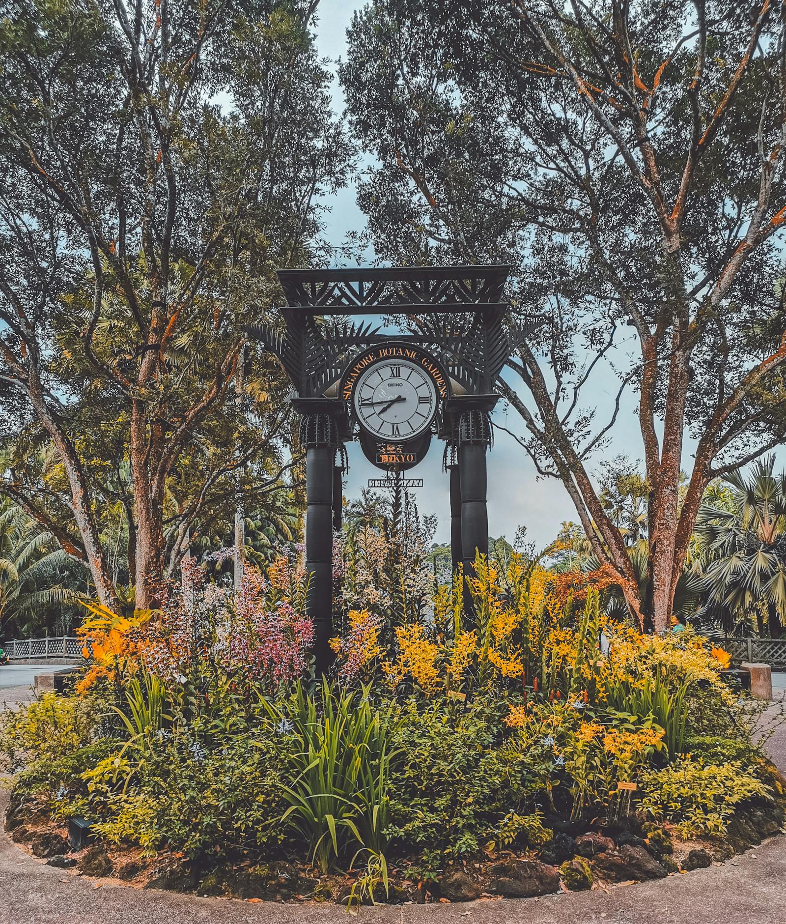 Person measuring blood pressure at home with an automatic cuff