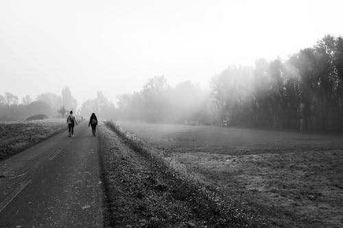 Immagine gratuita di alberi, bianco e nero, camminando