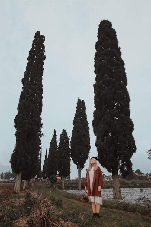 Woman standing in park with tall cypresses