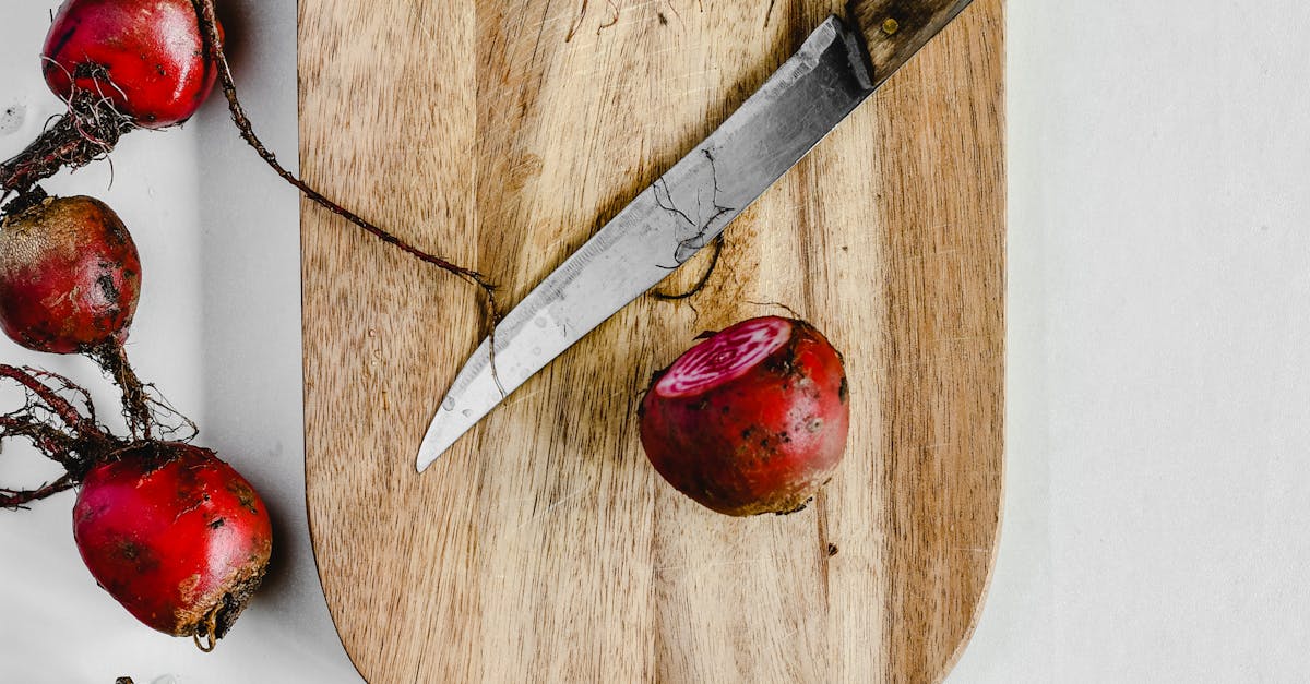 How to root a Christmas cactus cutting