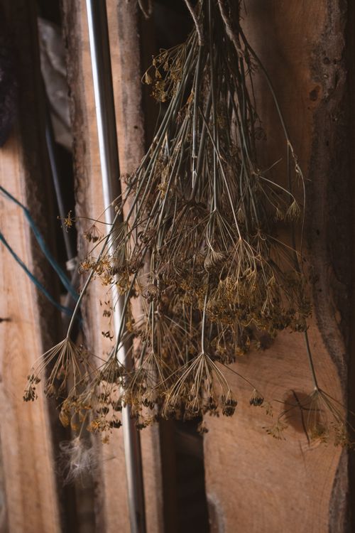 Free A close-up view of dried flowers hanging upside down on a wooden and steel bar background. Stock Photo