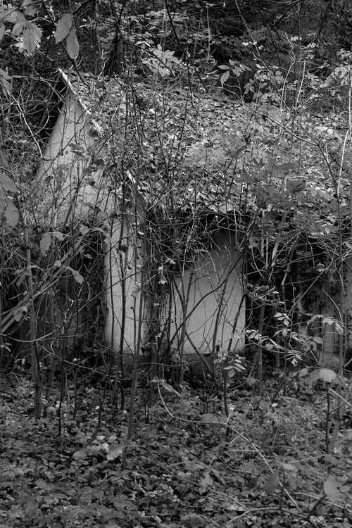 Free stock photo of abandoned house Stock Photo