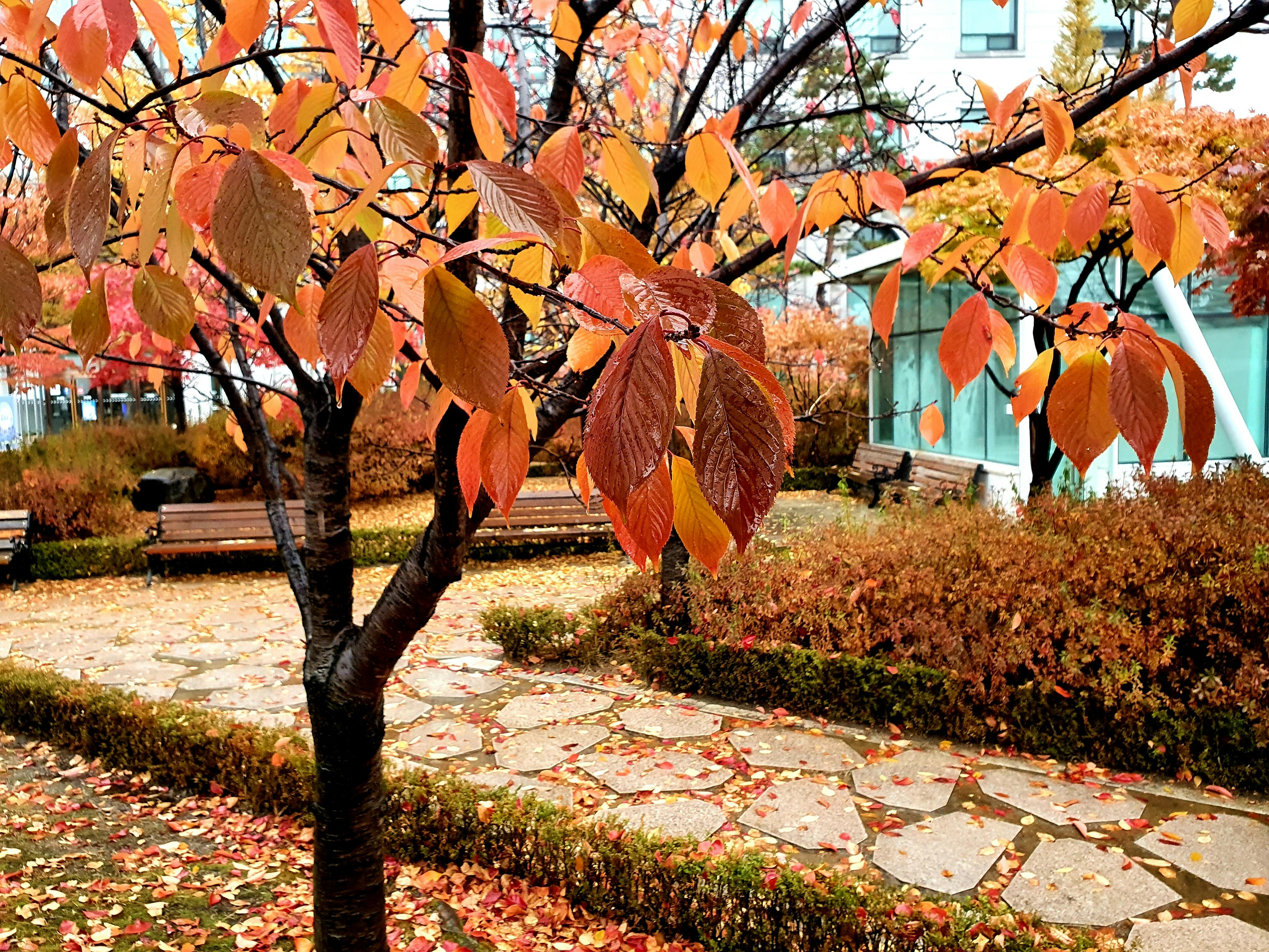 Three midlife women laughing together on a sofa