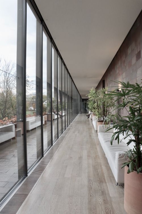 Free Spacious modern hallway in Basel with glass walls and indoor plants, offering a serene and contemporary atmosphere. Stock Photo