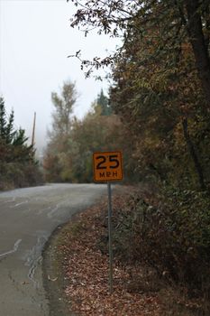 雾天的乡村道路宁静，限速标志显示为25英里/小时，秋叶飘落