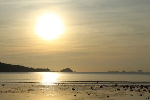 Free stock photo of foggy morning, golden sunrise, meeting sunrise Stock Photo