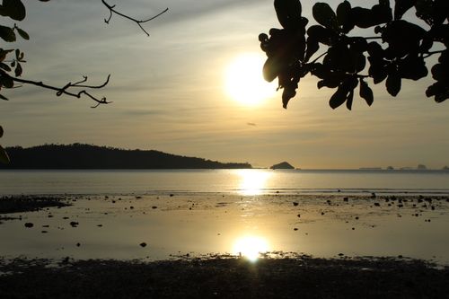 Free stock photo of at the beach, brown trees, paradise Stock Photo