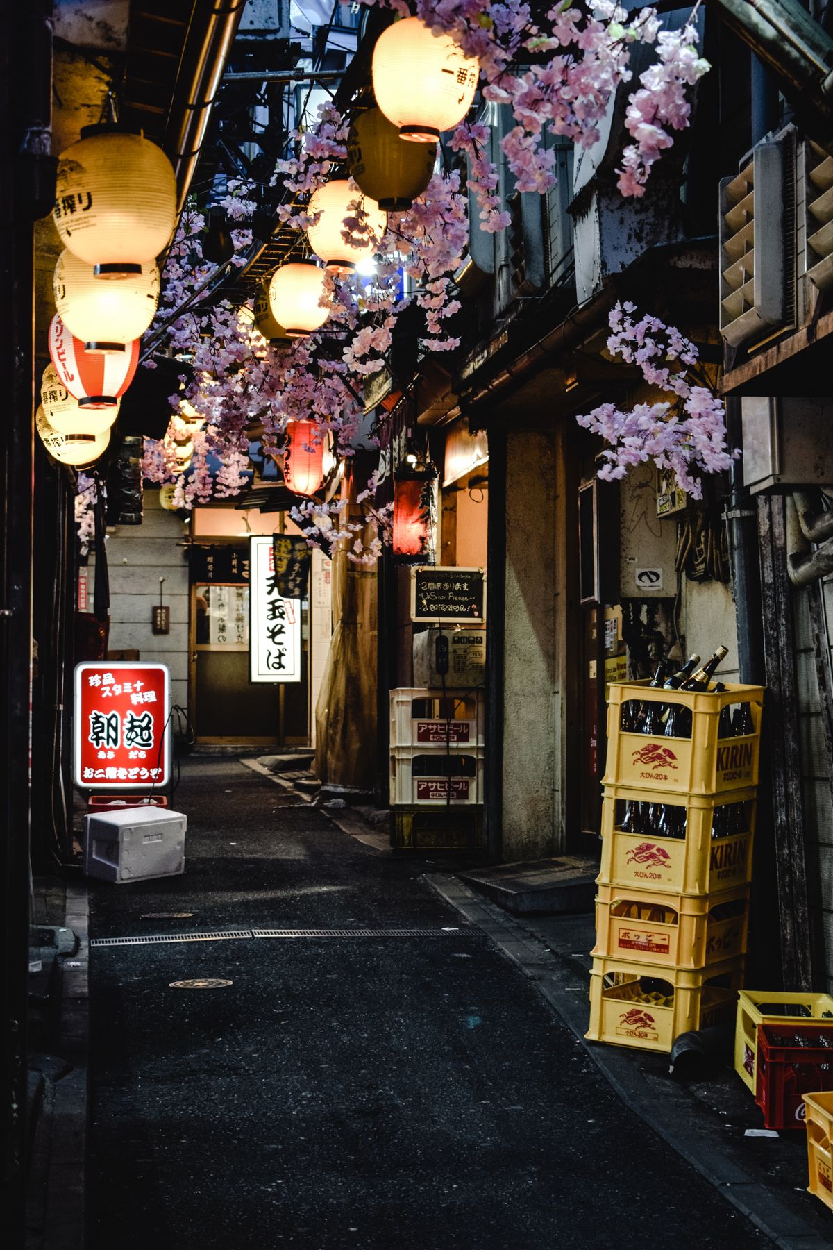 Japanese yokocho alley