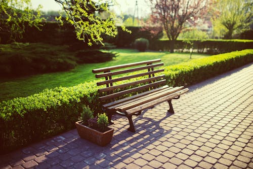 Free Empty Bench in the garden Stock Photo
