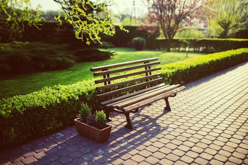 Empty Bench in the garden