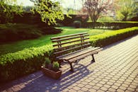 花园里阳光明媚，一张宁静的木凳周围环绕着郁郁葱葱的绿色植物