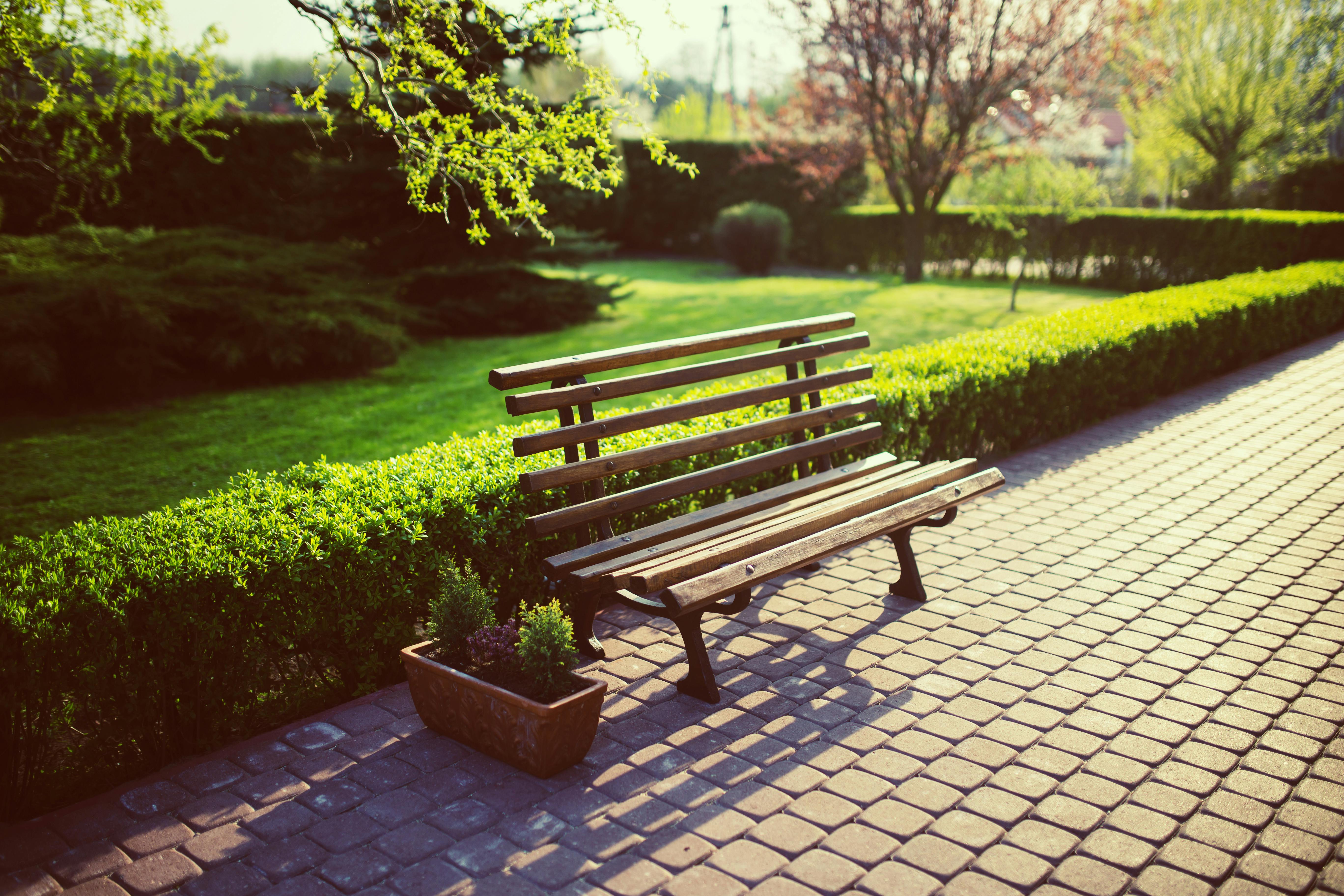 Empty Bench in the garden · Free Stock Photo