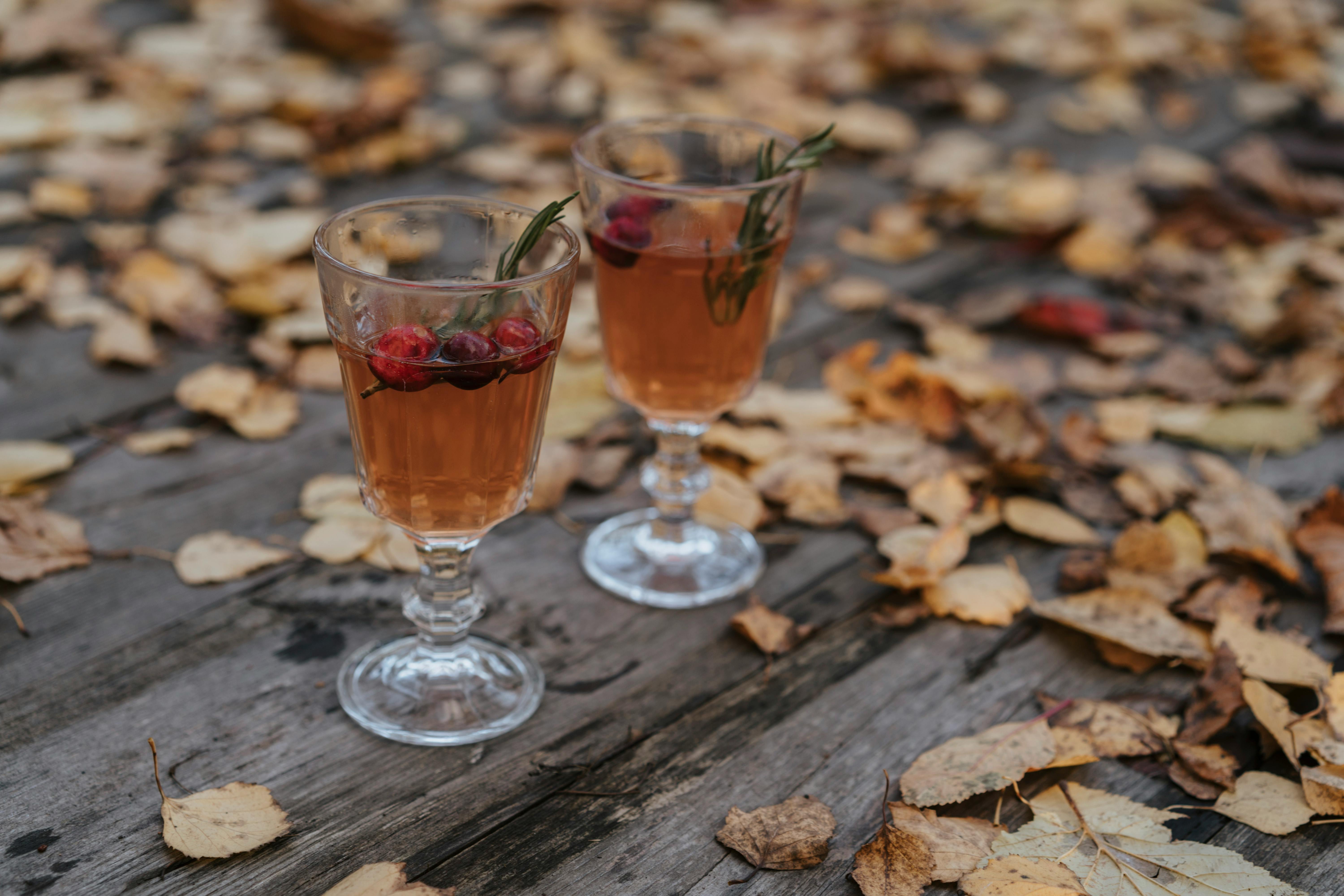 Two glasses of cranberry tea with rosemary on a table surrounded by autumn leaves.