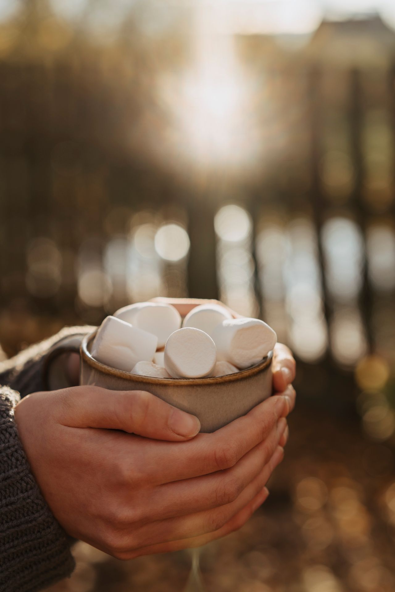 Hands wrapped around a mug of hot chocolate topped with marshmallows, held outdoors in warm golden fall light