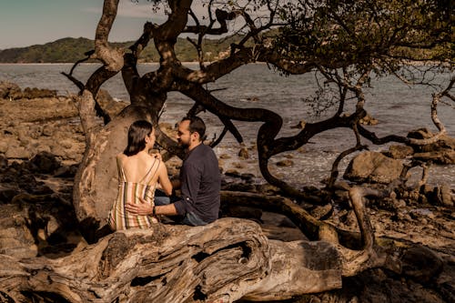 Man and Woman Sitting on Brown Tree Log Near Body of Water