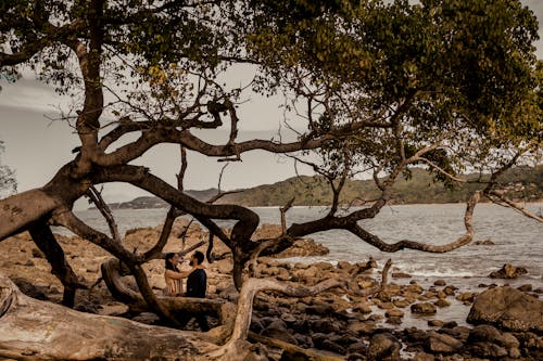 Man in White Shirt Sitting on Brown Tree Trunk Near Body of Water