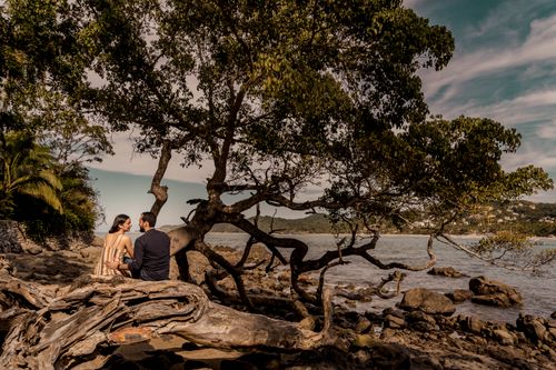 Free A couple sitting under a tree by the rocky coast, enjoying a scenic ocean view. Stock Photo