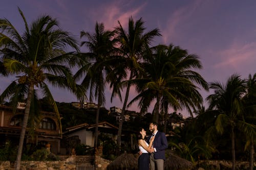 Man and Woman Kissing Near Palm Tree during Night Time