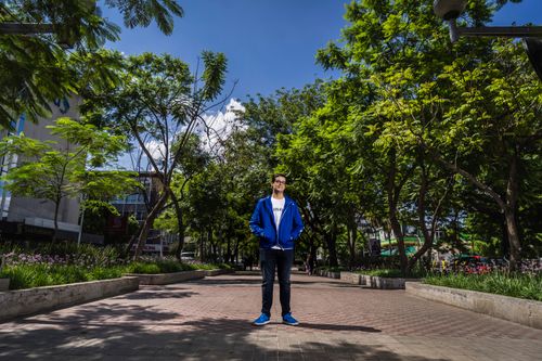 Free A young man in casual attire stands on a sunlit pathway in a city park, surrounded by lush green trees. Stock Photo