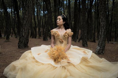 Free Portrait of a young woman posing in a glamorous ball gown amidst a serene forest. Stock Photo
