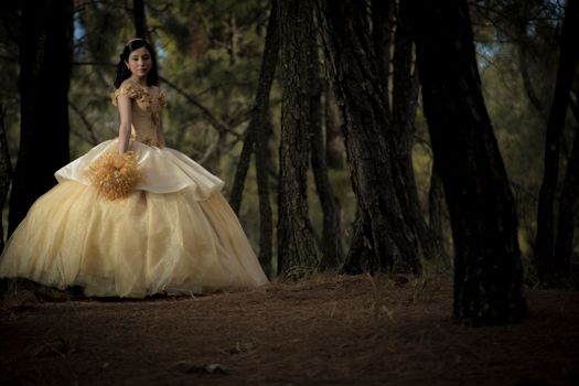 A young woman in a ball gown poses gracefully in a serene forest.